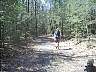 imag0019a.jpg