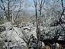 imag0077a.jpg
