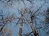 imag0089.jpg