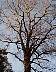 imag0117a.jpg