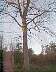 imag0118a.jpg