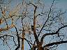 imag0119.jpg