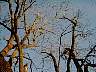 imag0121.jpg