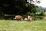 june75a16.jpg