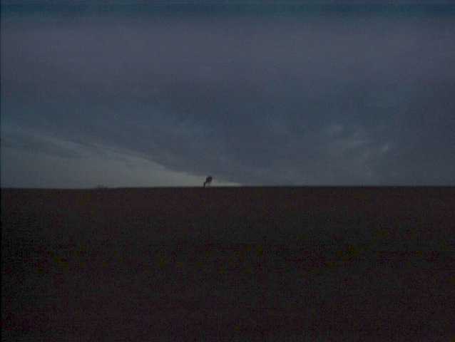 imag0039.jpg