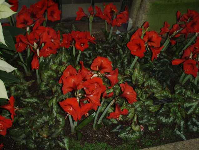 imag0153.jpg