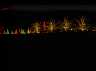 imag0347.jpg
