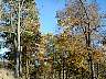 imag0044.jpg
